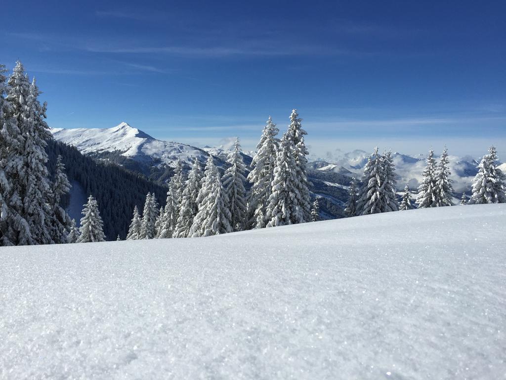 Das Juwel Reith Reith im Alpbachtal Exterior foto
