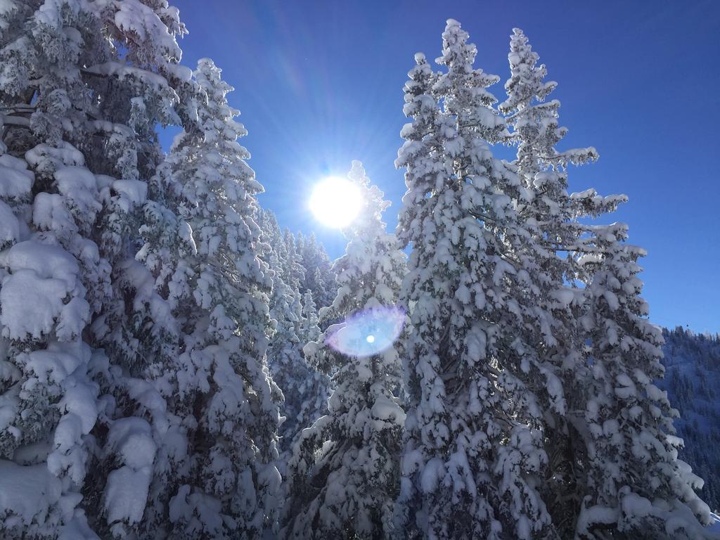 Das Juwel Reith Reith im Alpbachtal Exterior foto